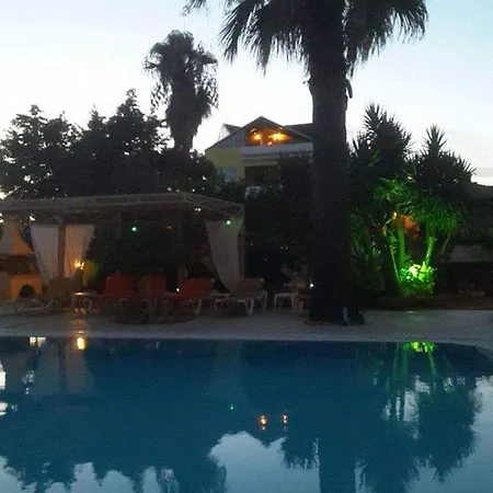 Lemon Garden *
