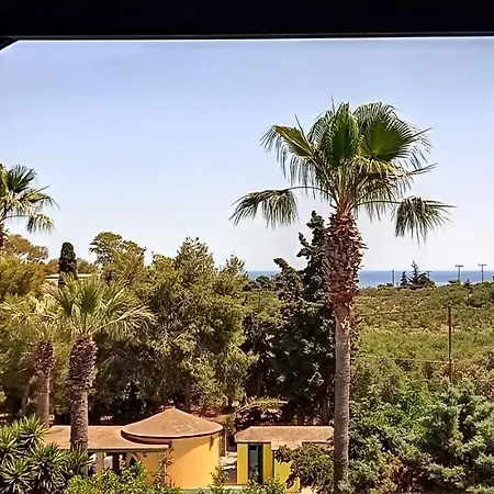 Lemon Garden