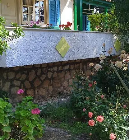 Lemon Garden *