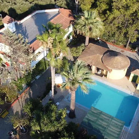 דירה Lemon Garden