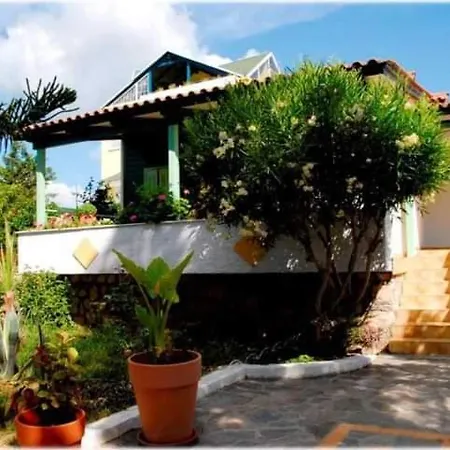 Lemon Garden *
