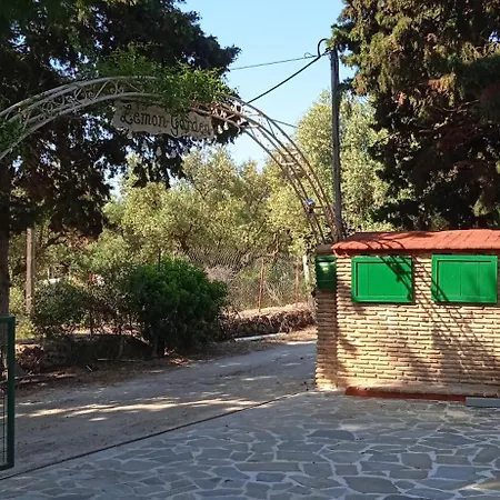 Lemon Garden *