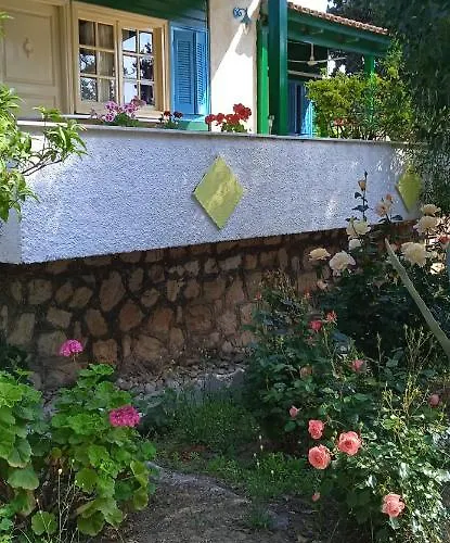 Lemon Garden *