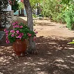 Lemon Garden *