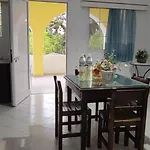 Lemon Garden *