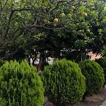 Lemon Garden * Vasilikí