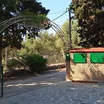 Lemon Garden *