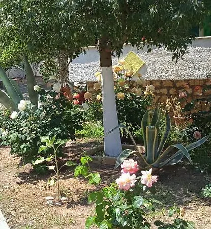 Διαμέρισμα Lemon Garden *