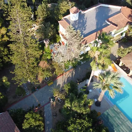 Lemon Garden Διαμέρισμα *